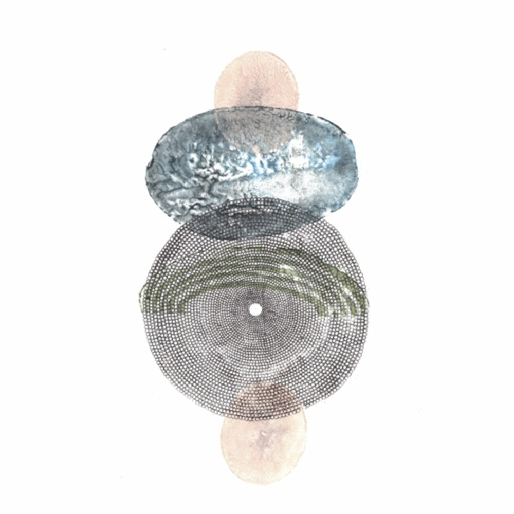 Zachary Hay [LP] Vinyl Record