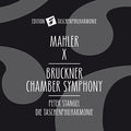 Bruckner / Stangel - Mahler Sinfonie 10 - Music CD