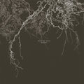 Ezikiel - Tales Of Roots - Vinyl Record