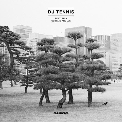 Dj Tennis Feat Fink - Certain Angles - Vinyl Record