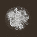 Toral,rafael - Moon Field - Music CD