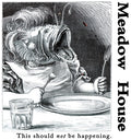 Meadow House - This Should Not Be Happening - Vinyl Record