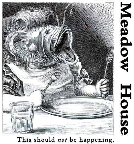 Meadow House - This Should Not Be Happening - Vinyl Record
