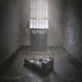 Syztem 7 - Evolving - Music CD