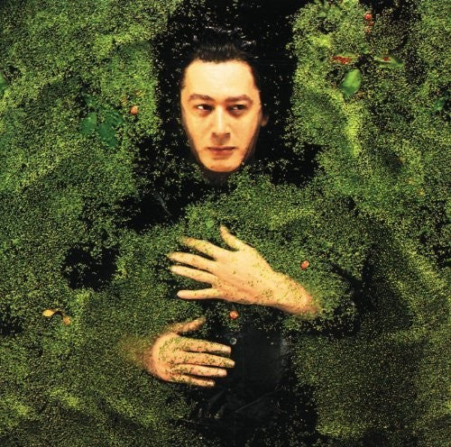 Bashung,alain - Fantaisie Militiare - Blu-ray