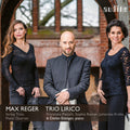 Reger / Eisinger - Complete String Trios & Piano Quartet In A Minor - Music CD