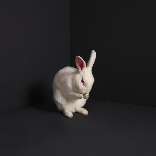 Brume - Rabbits - Vinyl Record