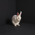 Rabbits [LP] Vinyl Record