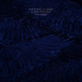 Clark,josienne / Walker,ben - Birds - Vinyl Record