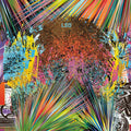 Lsd - Process - Vinyl Record