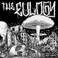 Eulogy - Last Days - Vinyl Record