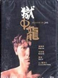 Dragon In Jail - Dragon In Jail - DVD