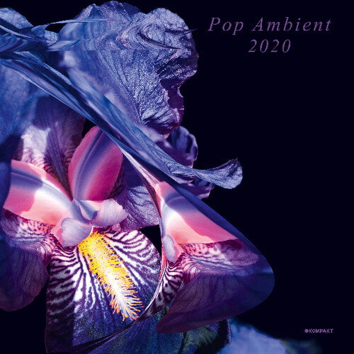 Pop Ambient 2020 / Various - Pop Ambient 2020 / Various - Music CD
