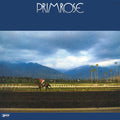 Suzuki,hiromasa - Primrose - Vinyl Record