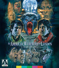 American Werewolf In London: Standard Edition - American Werewolf In London: Standard Edition - Blu-ray