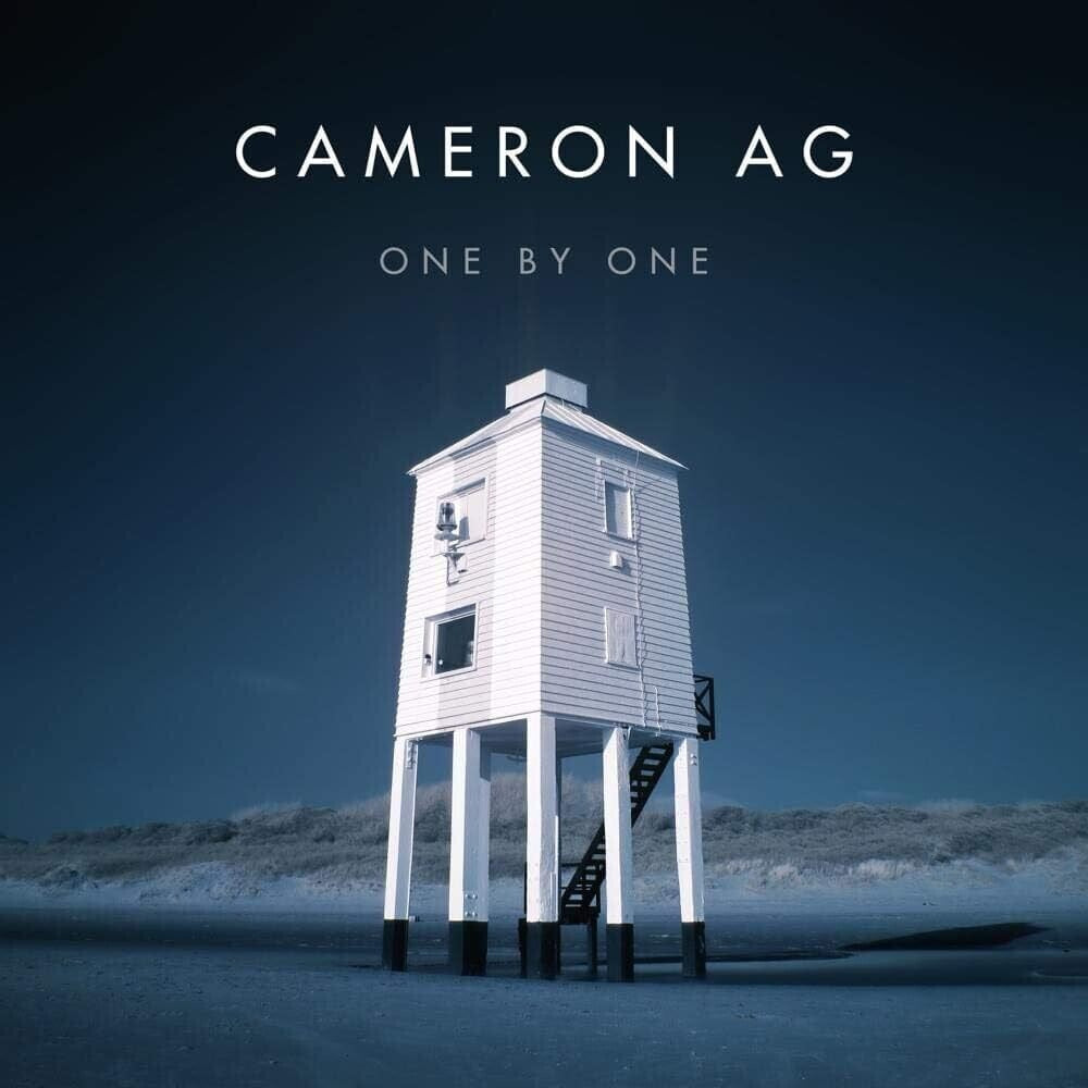 One By One [LP] Vinyl Record