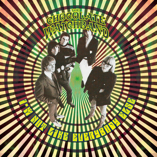 Chocolate Watchband - I'm Not Like Everybody Else - Vinyl Record