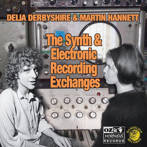 Derbyshire,delia / Hannett,martin - Synth And Electronic Recording Exchanges - Vinyl Record