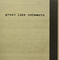 Great Lake Swimmers - Great Lake Swimmers - Vinyl Record