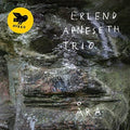 Apneseth,erlend Trio - Ara - Vinyl Record