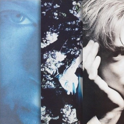 Momus - Create I - Procreate - Music CD