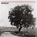 Sly & Robbie / Molvaer,nils Petter / Aarset,eivind - Nordub - Music CD