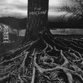 Heresy - Dark Shore - Music CD