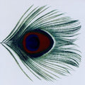 Xtc - Apple Venus Volume 1 - Music CD