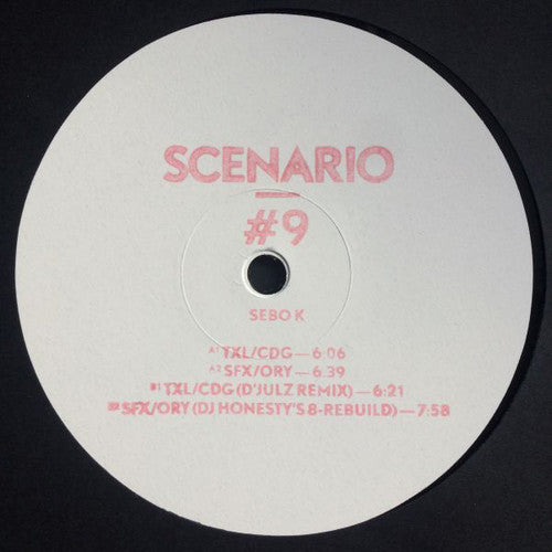 Sebo K - Scenario 9 - Vinyl Record