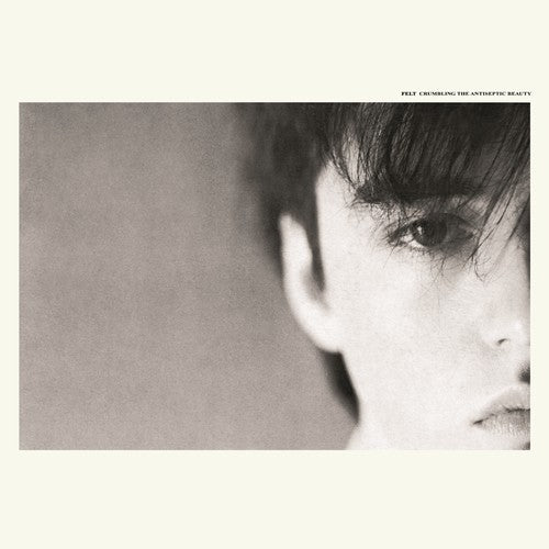 Felt - Crumbling The Antiseptic Beauty - Vinyl Record