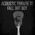 Acoustic Tribute - Acoustic Tribute To Fall Out Ball - Music CD