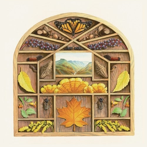 Louise,sarah - Field Guide - Vinyl Record