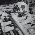Encoffination - Necros Obscuritas - Music CD