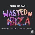 Diodati,chris - Wasted In Ibiza - Tropical House & Future Bass Sou - Music CD