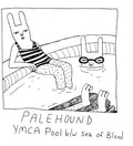 Palehound - Ymca Pool - Vinyl Record