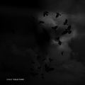 Sinks - Cold Fury - Vinyl Record