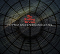 Electric Squeezebox Orchestra - Falling Dream - Music CD