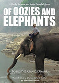 Of Oozies & Elephants - Of Oozies & Elephants - DVD
