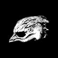 Legend Of The Seagullmen - Legend Of The Seagullmen - Music CD