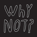 Half Japanese - Why Not - Vinyl Record