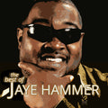 Hammer,jaye - Best Of Jaye Hammer - Music CD