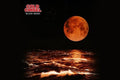 Cold Chisel - Blood Moon - Music CD