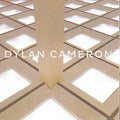 Cameron,dylan - Infinite Floor - Vinyl Record