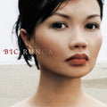 Runga,bic - Beautiful Collision - Music CD