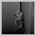 Marhaug,lasse / Wesseltoft,jon - Nature Lovers - Vinyl Record