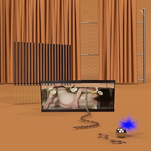 Frigs - Basic Behaviour - Vinyl Record