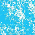 Lowest Form - Negative Ecstasy - Vinyl Record
