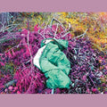 Dreamdecay - Nvnvnv - Vinyl Record