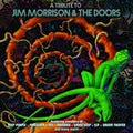 Tribute To Jim Morrison & The Doors / Various - Tribute To Jim Morrison & The Doors / Various - Music CD
