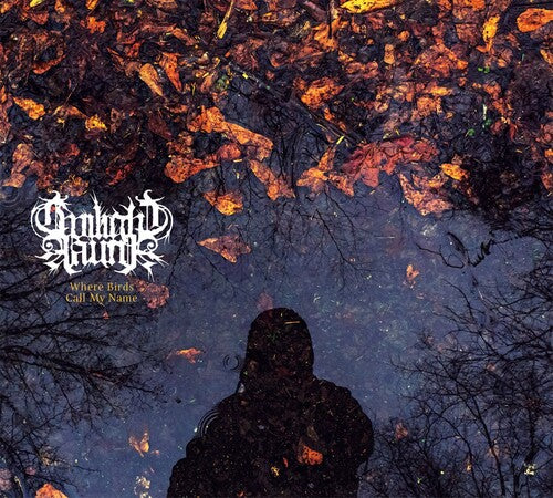 Twilight Fauna - Where Birds Sing My Name - Music CD